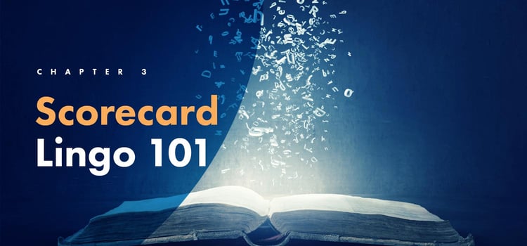 Capitolul 3: Scorecard Lingo 101